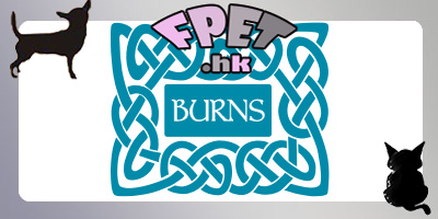  Burns 