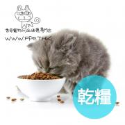  Cat dry food 